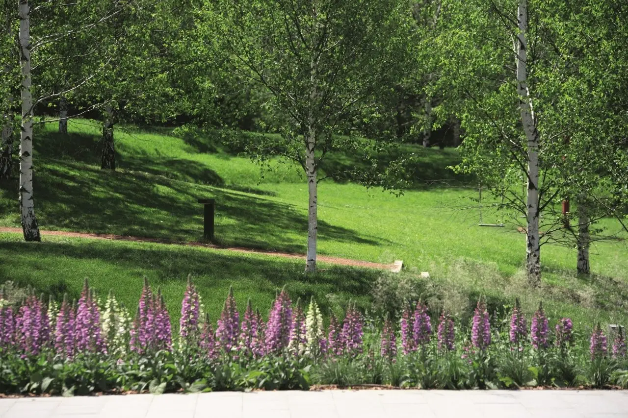 ЖК «Вишневый сад»