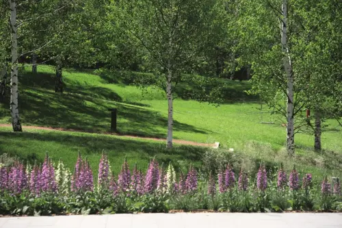 ЖК «Вишневый сад»