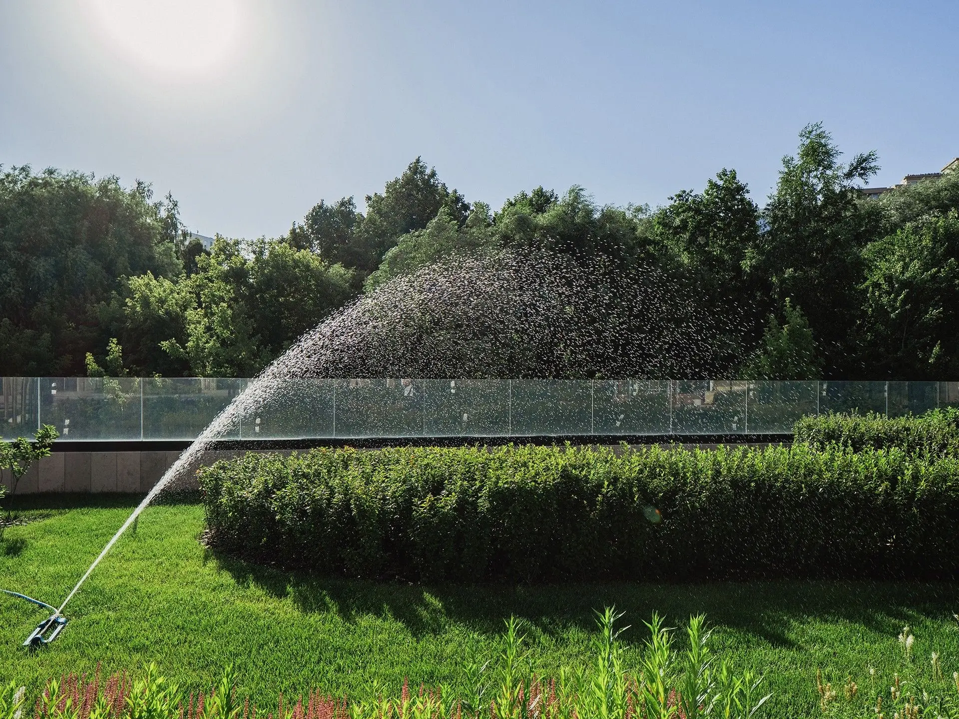 ЖК «Will Towers»