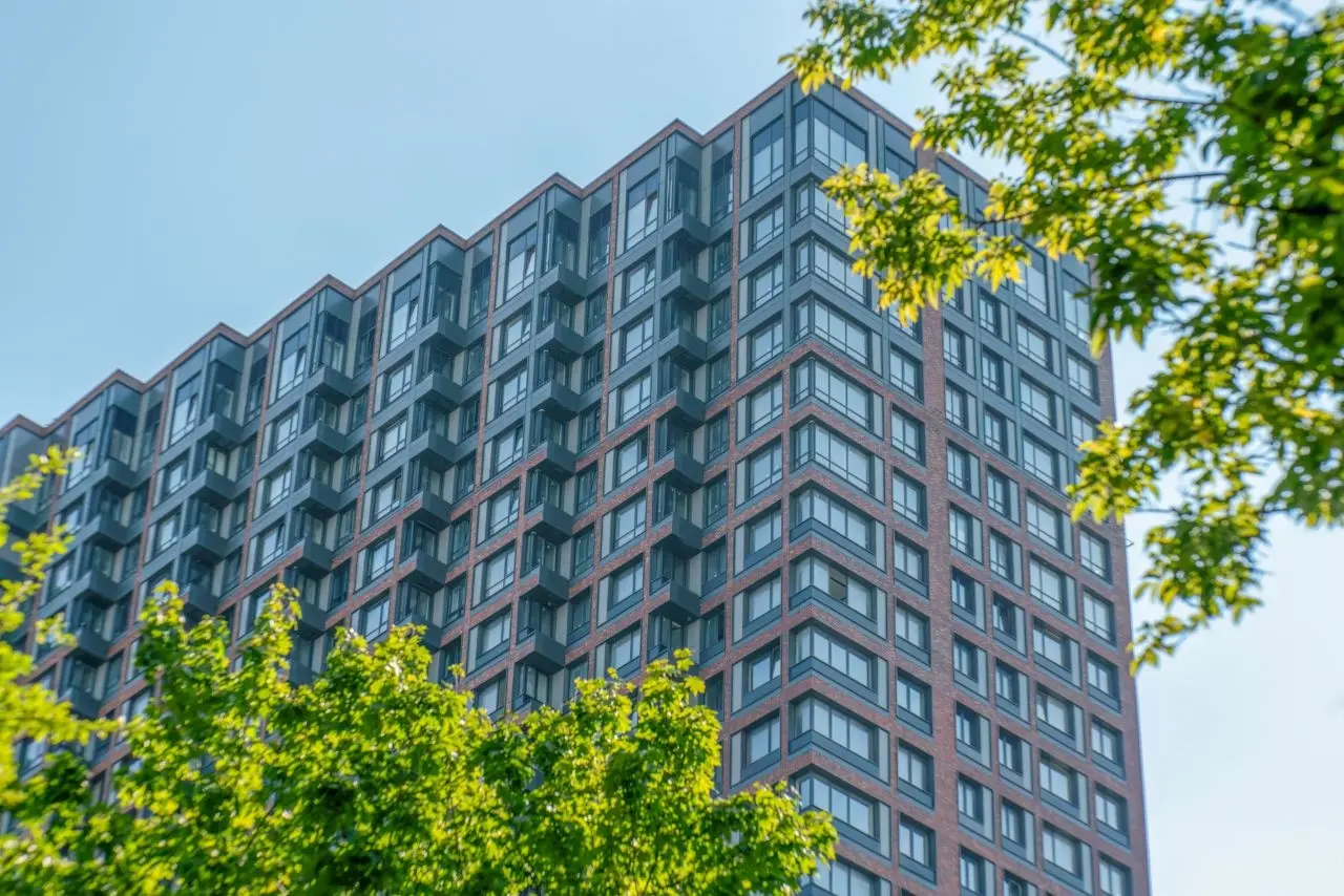 MainStreet (Мейнстрит)