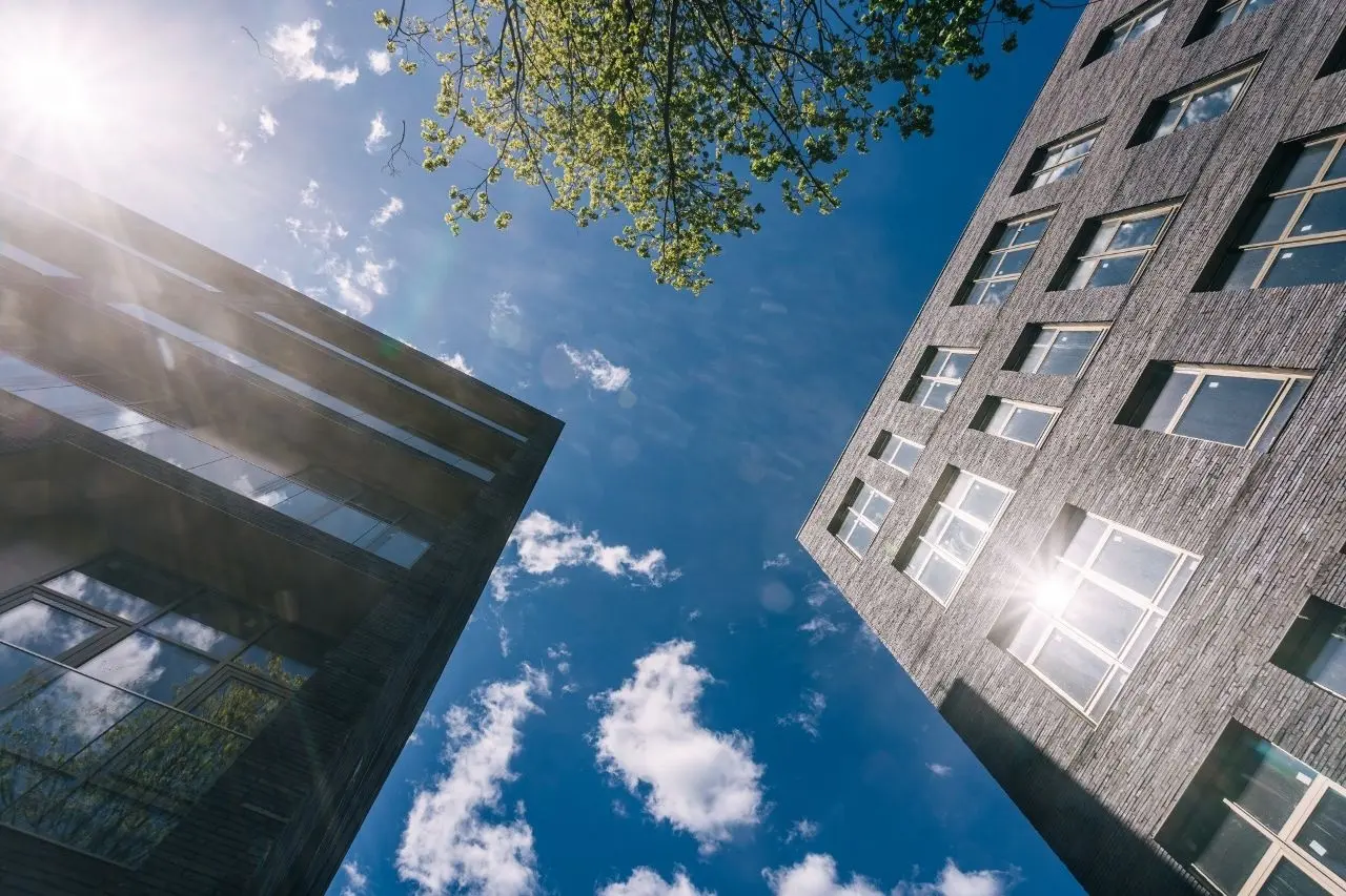 Досфлота, 10