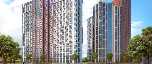 Profit (Профит)