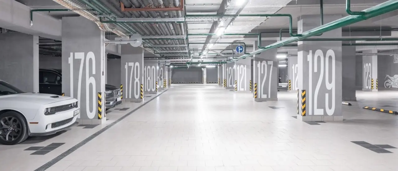 Любовь и Голуби