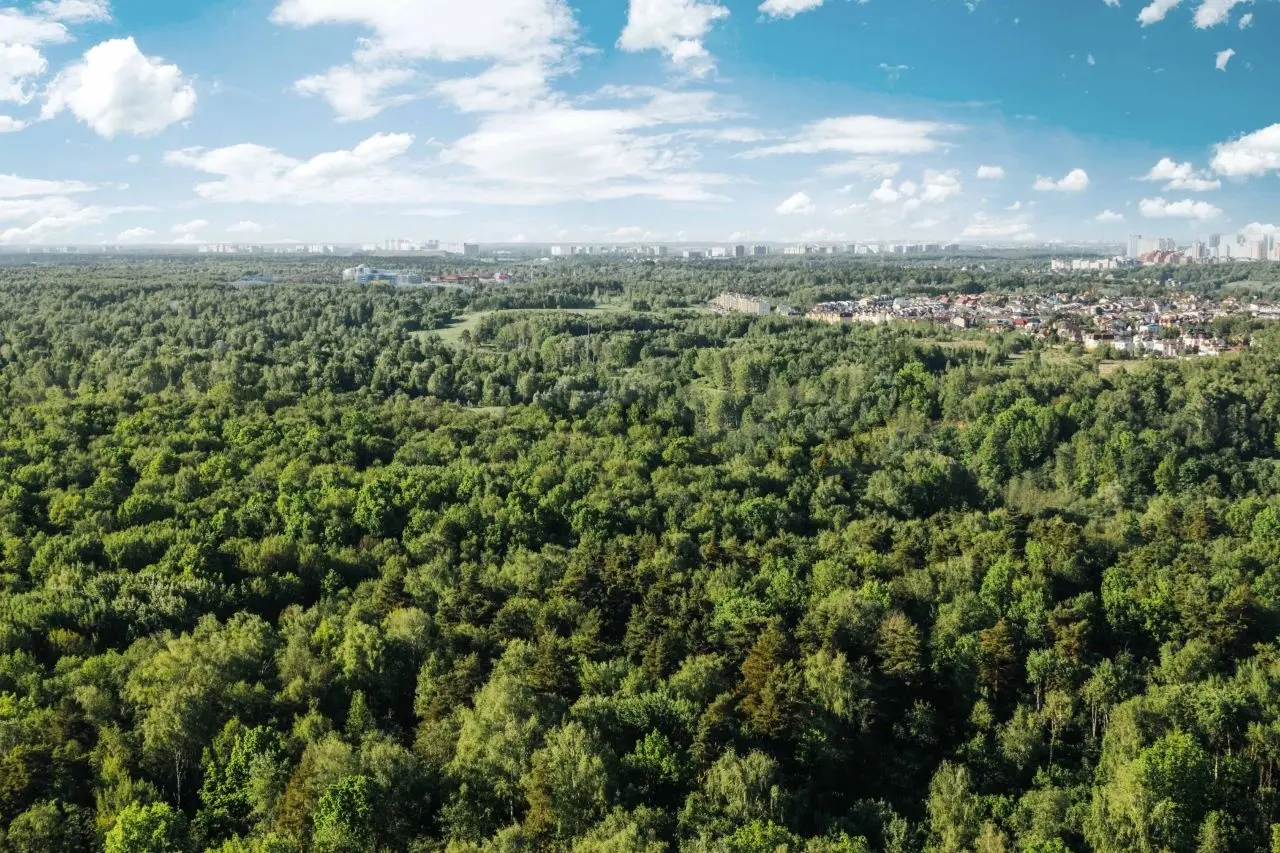 Пятницкое 58